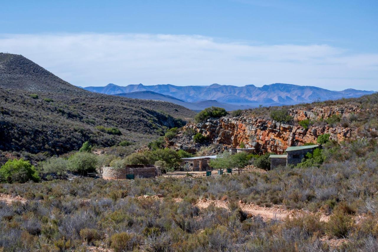Desert Wind Private Guest And Game Farm Montagu Eksteriør billede